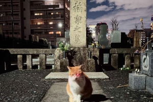 Tokio: True Crime And Ghost Stories Tour