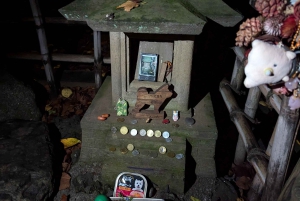 Tokio: True Crime And Ghost Stories Tour