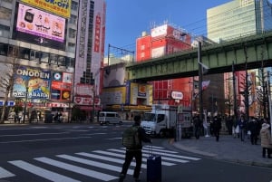 Tokyo: Mercato del pesce di Tsukiji e tour della cultura pop di Akihabara!!!