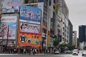 Tokyo: Mercato del pesce di Tsukiji e tour della cultura pop di Akihabara!!!