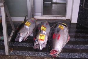 Tokyo: Mercato del pesce di Tsukiji e tour della cultura pop di Akihabara!!!