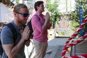 Tokyo: Tsukiji Fish Market Seafood and Sightseeing Tour