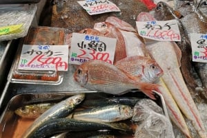 Tokyo: Tsukiji Fish Market Seafood and Sightseeing Tour