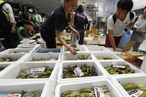 Tour privado por la gastronomía y la cultura de Tsukiji, Tokio Guía con licencia