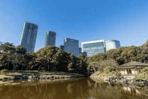 Tokyo: Guidad tur till Tsukiji-marknaden och Hama-rikyu-trädgårdarna