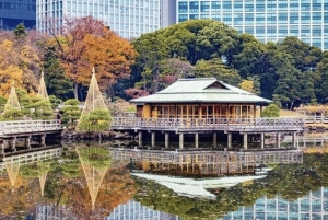 Tokyo: Guidad tur till Tsukiji-marknaden och Hama-rikyu-trädgårdarna