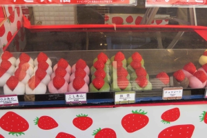 Tokyo: Tsukiji Market and Hongwanji Temple Guided Tour