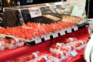 Tokyo: Tsukiji Market and Hongwanji Temple Guided Tour
