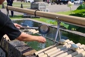 Tokyo: tour gastronomico e degustazione di sake al mercato di Tsukiji