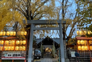 Tokio: Tsukiji-markkinoiden sushikurssi ja teeseremonia