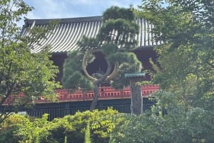 Tokyo: Ueno-området – hvor samuraiene falt og Japan reiste seg