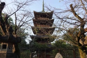 Tokyo: Ueno Culture, Nature, and History Walking Tour