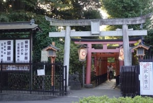 Tokyo: Ueno Culture, Nature, and History Walking Tour