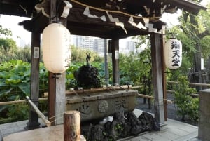 Tokyo: Ueno Culture, Nature, and History Walking Tour