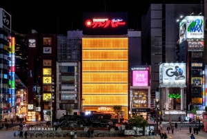 Tokio: Ainutlaatuinen japanilainen illallinen ja ama-sukeltajien esitys