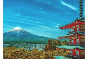 Tóquio ao Monte Fuji e Hakone: viagem privada personalizável de 1 dia
