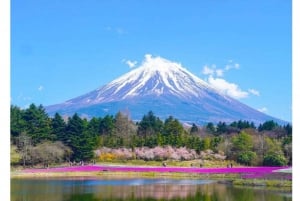 Tóquio ao Monte Fuji e Hakone: viagem privada personalizável de 1 dia