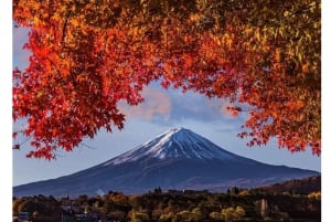 Tóquio ao Monte Fuji e Hakone: viagem privada personalizável de 1 dia