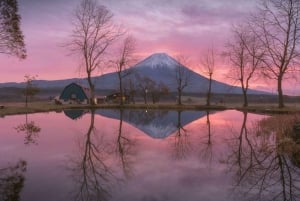 Tóquio ao Monte Fuji e Hakone: viagem privada personalizável de 1 dia