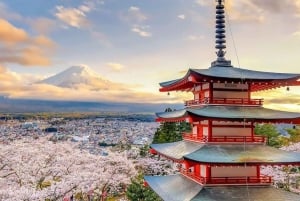 Tóquio ao Monte Fuji e Hakone: viagem privada personalizável de 1 dia