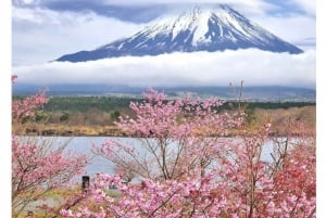 Tóquio ao Monte Fuji e Hakone: viagem privada personalizável de 1 dia