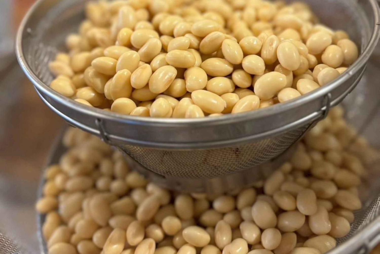 Tokyo Vegan : Atelier tofu dans une boutique historique