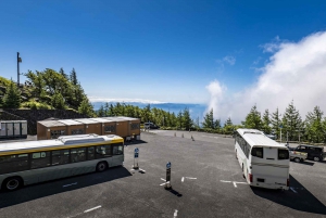 片道バス：高山から富士山5合目経由で東京へ