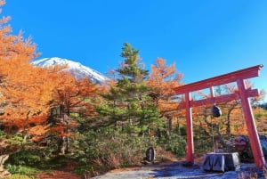 片道バス：高山から富士山5合目経由で東京へ