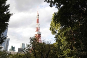 TOKYO: Visit 5 Amazing Photo Spots for Tokyo Tower