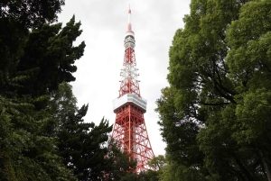 TOKYO: Visit 5 Amazing Photo Spots for Tokyo Tower