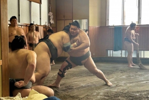 Tokio: Bezoek Sumo Ochtendtraining met Engelse gids