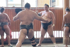 Tokio: Bezoek Sumo Ochtendtraining met Engelse gids