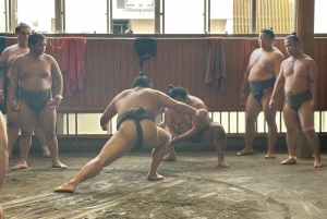 Tokio: Bezoek Sumo Ochtendtraining met Engelse gids