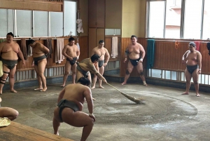 Tokio: Bezoek Sumo Ochtendtraining met Engelse gids