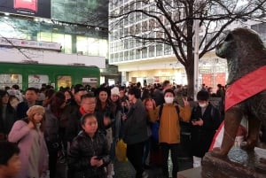 東京散策：新宿、原宿、表参道、渋谷