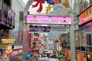 東京散策：新宿、原宿、表参道、渋谷