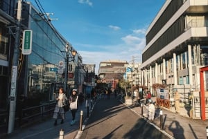 東京散策：新宿、原宿、表参道、渋谷