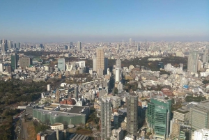 東京散策：新宿、原宿、表参道、渋谷
