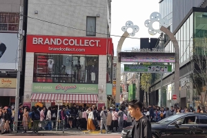 Wandeling door Tokio: Shinjuku, Harajuku, Omotesando en Shibuya