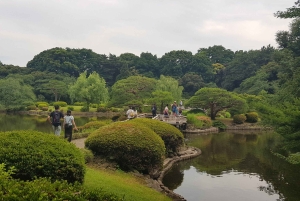 Wandeling door Tokio: Shinjuku, Harajuku, Omotesando en Shibuya