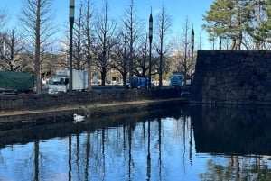 Tour a piedi di Tokyo intorno al Palazzo Imperiale e alla Stazione di Tokyo