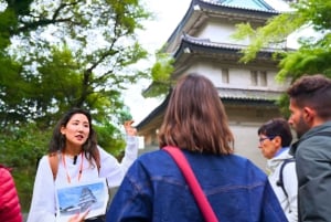 Tokyo: Rundvisning i det kejserlige palads, Shoguns og have (FRANSK GUIDE)