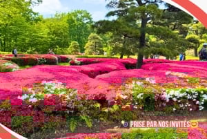 Tokyo: Rundvisning i det kejserlige palads, Shoguns og have (FRANSK GUIDE)