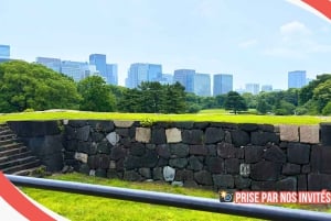 Tokyo: Rundvisning i det kejserlige palads, Shoguns og have (FRANSK GUIDE)