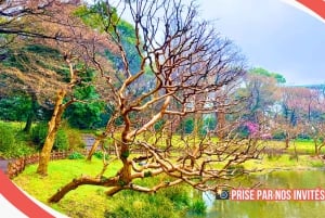 Tokyo: Rundvisning i det kejserlige palads, Shoguns og have (FRANSK GUIDE)