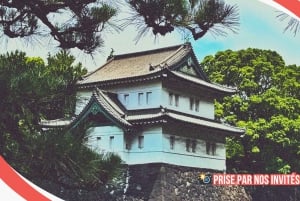 Tokyo: Rundvisning i det kejserlige palads, Shoguns og have (FRANSK GUIDE)