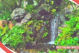 Tokyo: Rundvisning i det kejserlige palads, Shoguns og have (FRANSK GUIDE)