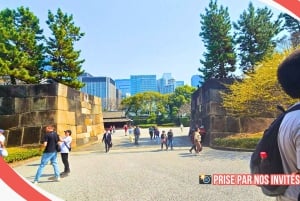 Tokyo: Rundvisning i det kejserlige palads, Shoguns og have (FRANSK GUIDE)