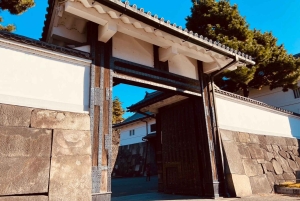 Tokion kävelykierros: Tsukijin tori, suitsuke, keisarillinen palatsi