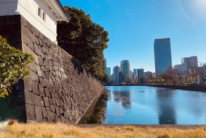 Tokion kävelykierros: Tsukijin tori, suitsuke, keisarillinen palatsi